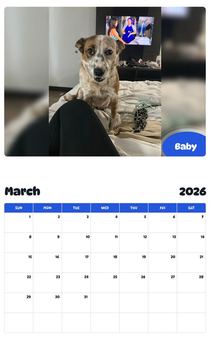 November 2025 - October 2026 Baby - Pawidols Pet Calendar