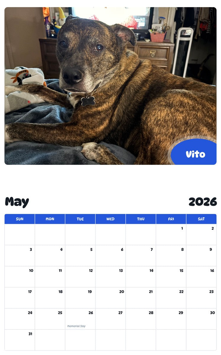 2026 - 2027 Vito - Pawidols Pet Calendar