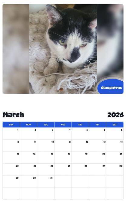 November 2025 - October 2026 Cleopatras - Pawidols Pet Calendar