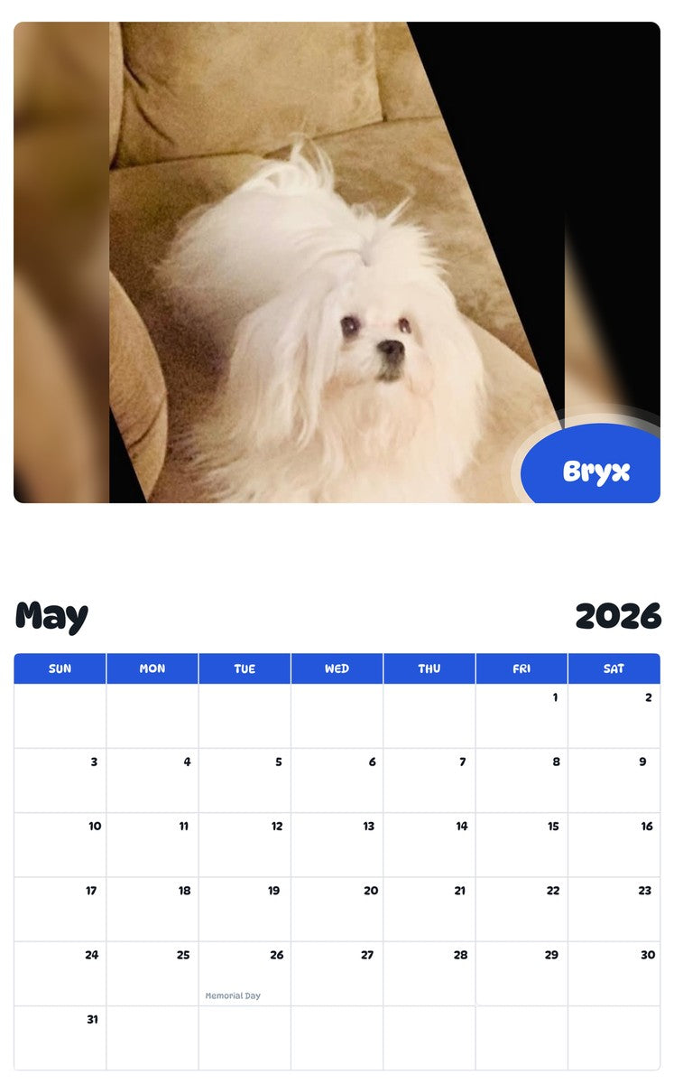 2026 - 2027 Bryx - Pawidols Pet Calendar