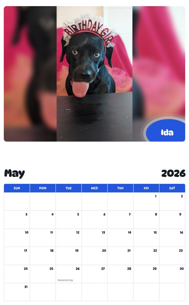 2026 - 2027 Ida - Pawidols Pet Calendar