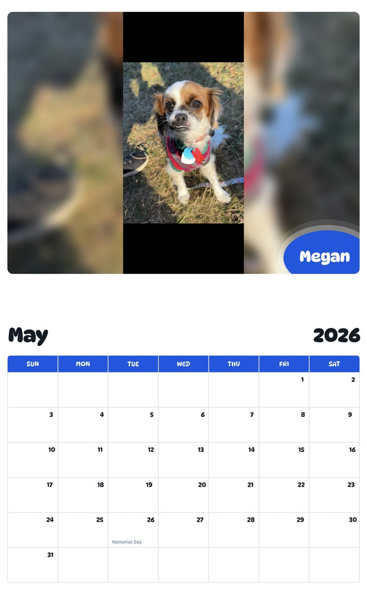 2026 - 2027 Megan - Pawidols Pet Calendar