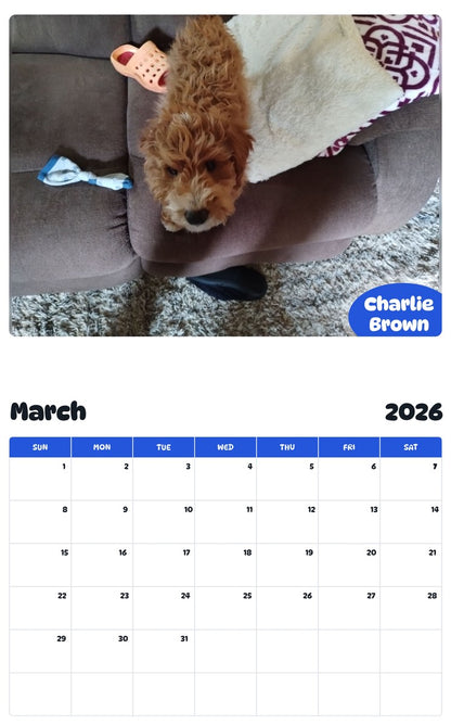 November 2025 - October 2026 Charlie Brown - Pawidols Pet Calendar