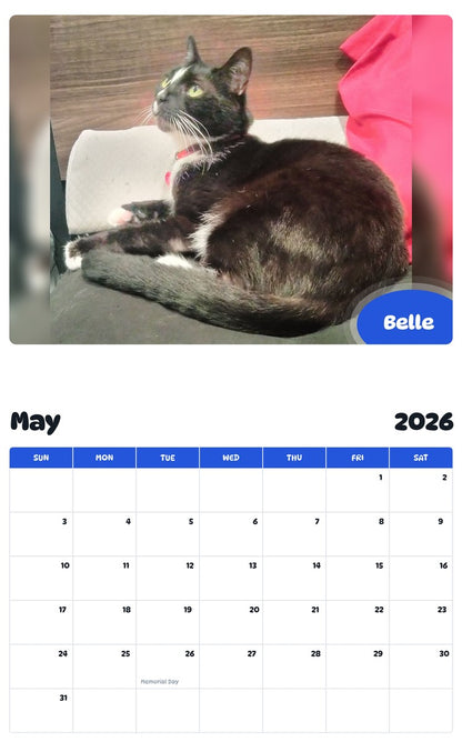 2026 - 2027 Belle - Pawidols Pet Calendar