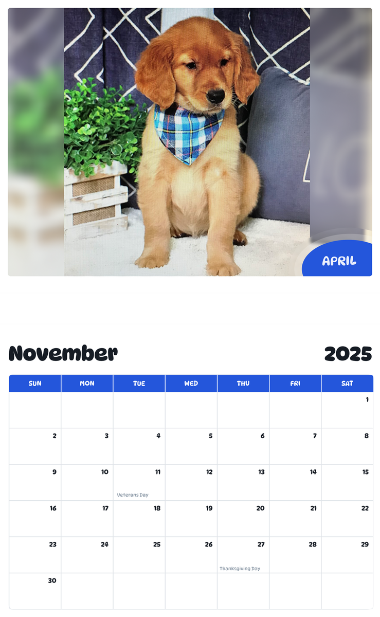 July 2025 - June 2026 April - Pawidols Pet Calendar