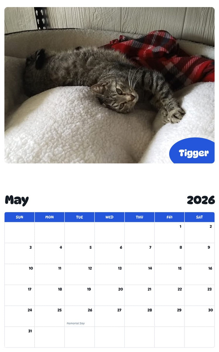 2026 - 2027 Tigger - Pawidols Pet Calendar