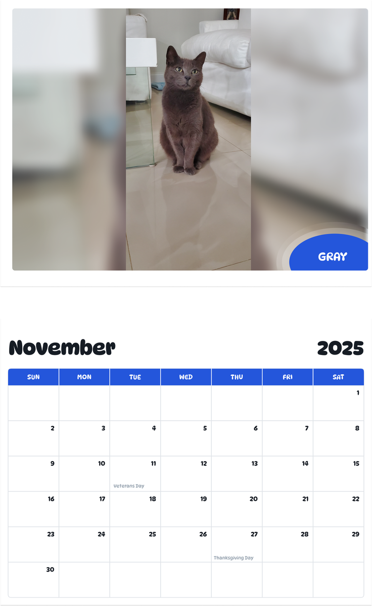July 2025 - June 2026 Gray - Pawidols Pet Calendar
