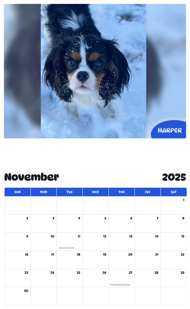 July 2025 - June 2026 Harper - Pawidols Pet Calendar