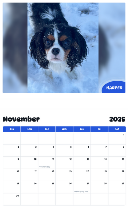 July 2025 - June 2026 Harper - Pawidols Pet Calendar