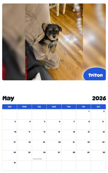 2026 - 2027 Triton - Pawidols Pet Calendar