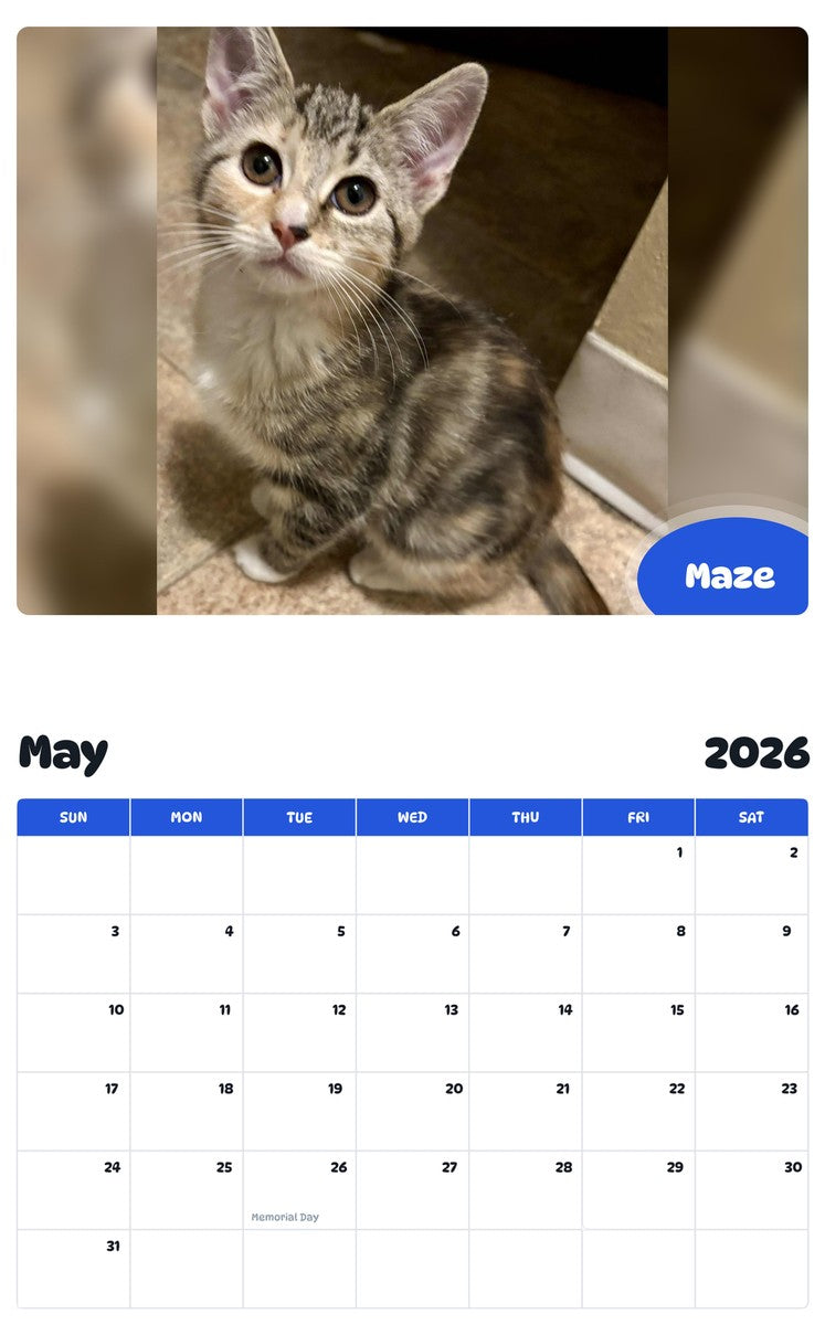 2026 - 2027 Maze - Pawidols Pet Calendar