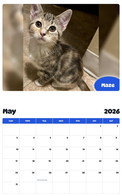 2026 - 2027 Maze - Pawidols Pet Calendar