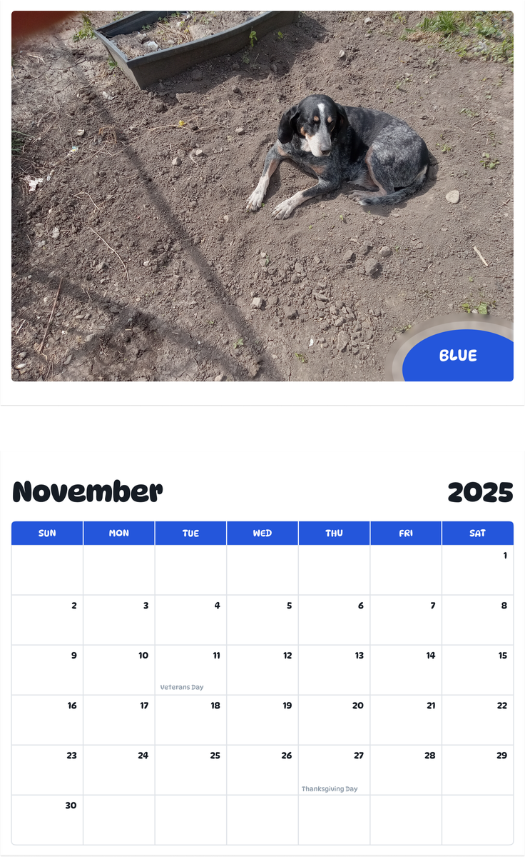 July 2025 - June 2026 Blue - Pawidols Pet Calendar