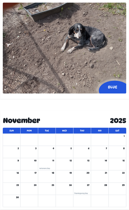 July 2025 - June 2026 Blue - Pawidols Pet Calendar