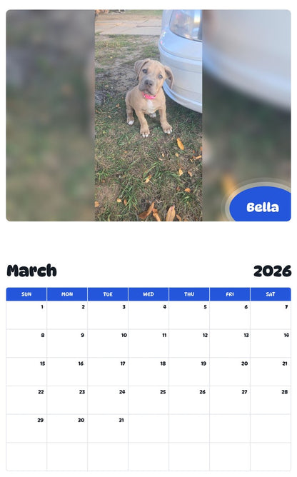 November 2025 - October 2026 Bella - Pawidols Pet Calendar