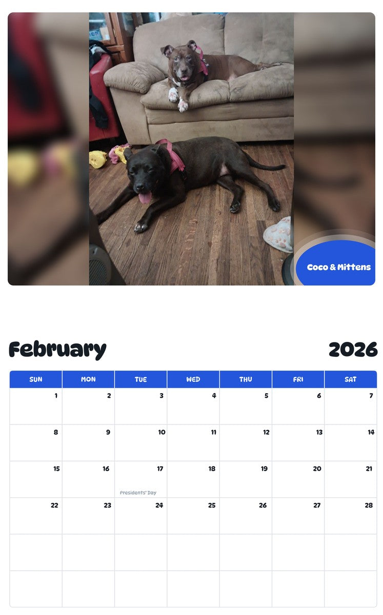 October 2025 - September 2026 Coco & Mittens - Pawidols Pet Calendar