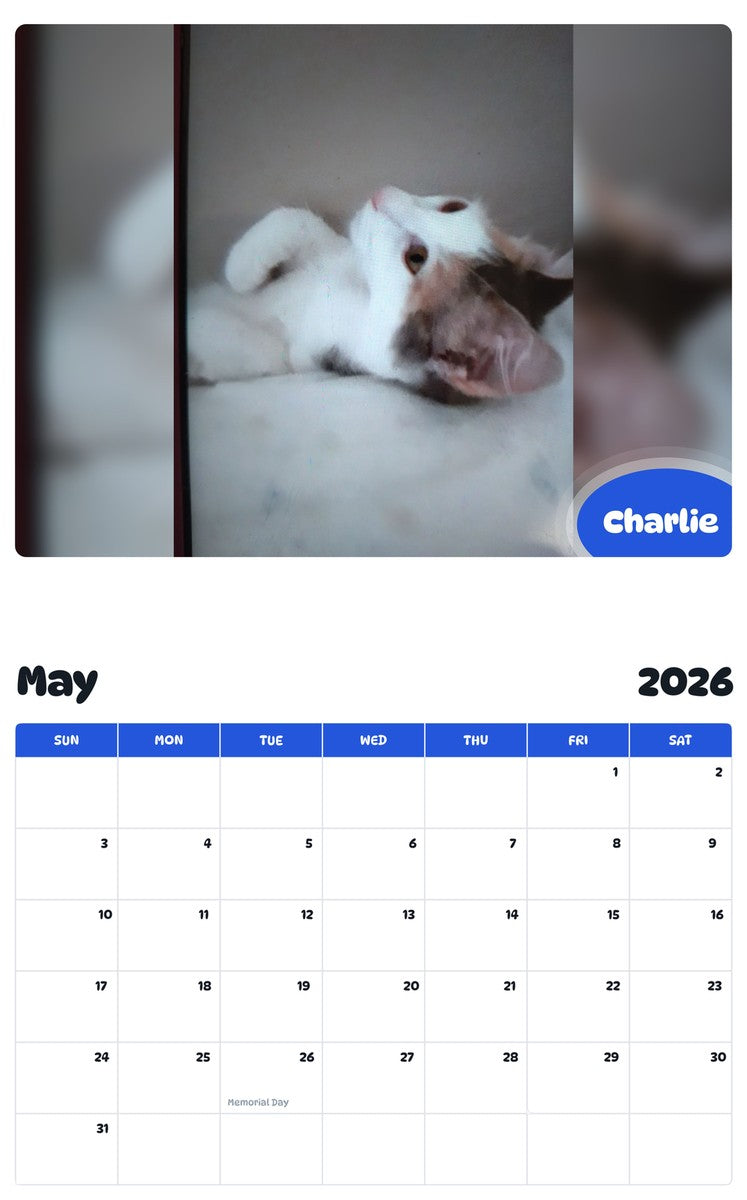 2026 - 2027 Charlie - Pawidols Pet Calendar