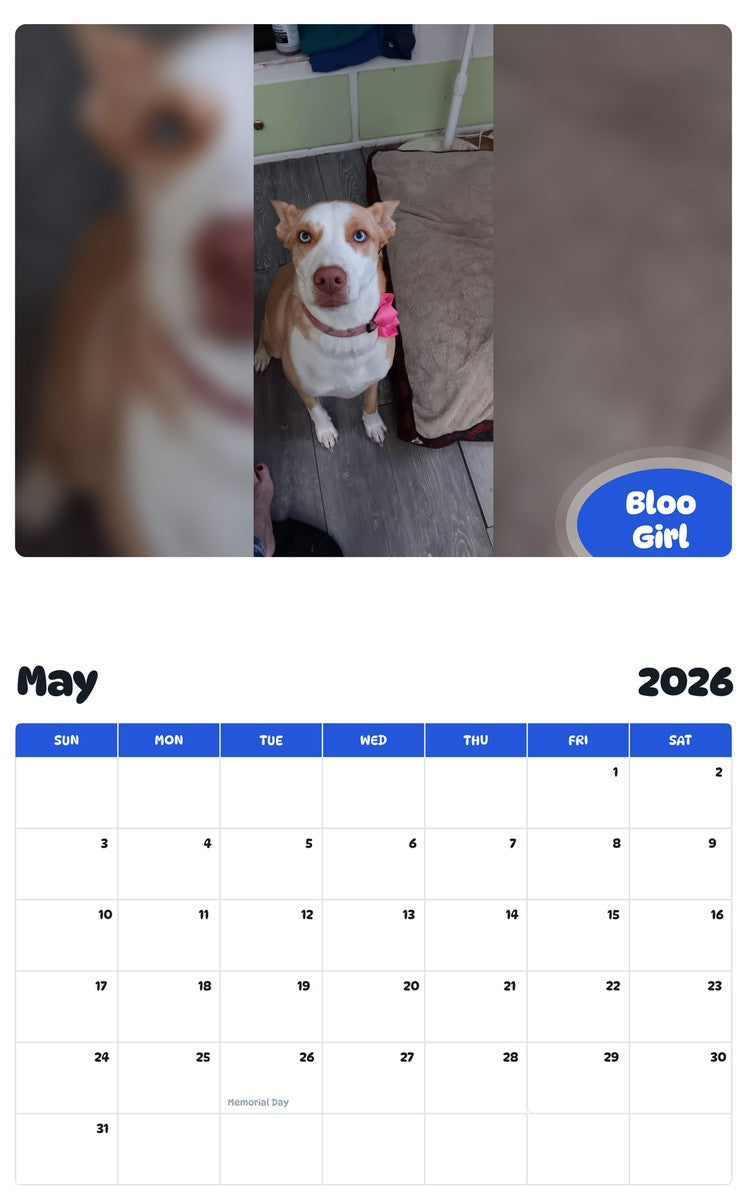 2026 - 2027 Bloo Girl - Pawidols Pet Calendar