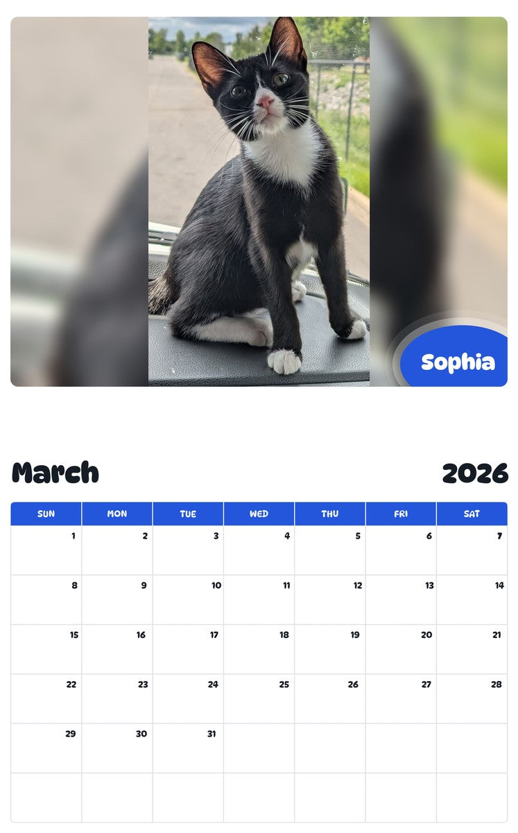 November 2025 - October 2026 Sophia - Pawidols Pet Calendar