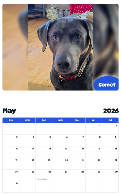 2026 - 2027 Comet - Pawidols Pet Calendar