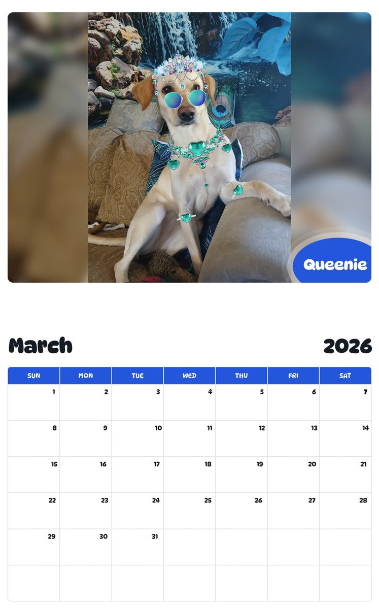 November 2025 - October 2026 Queenie - Pawidols Pet Calendar