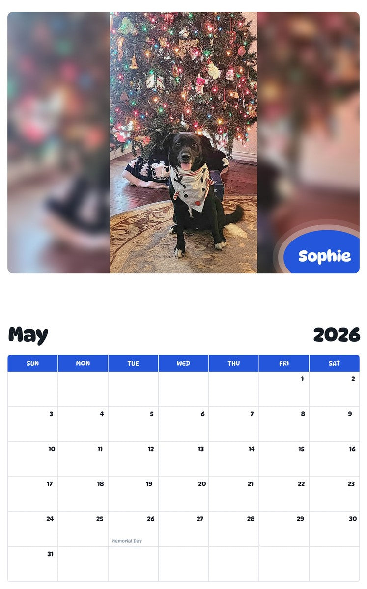 2026 - 2027 Sophie - Pawidols Pet Calendar
