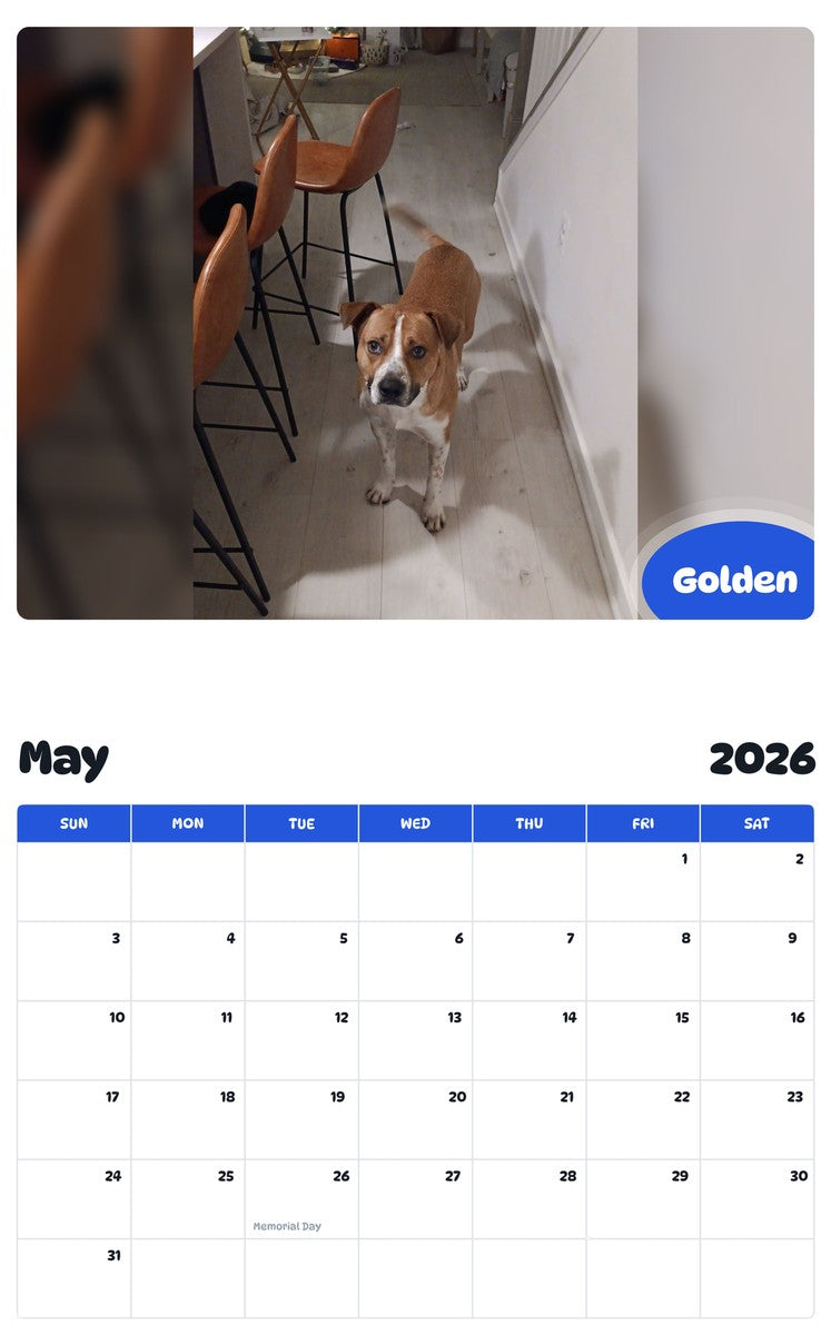 2026 - 2027 Golden - Pawidols Pet Calendar