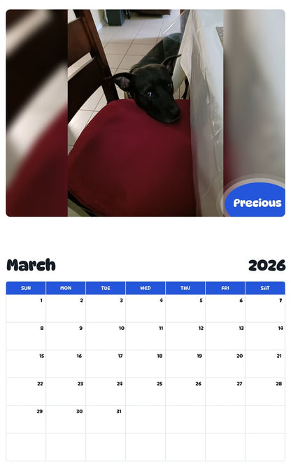 November 2025 - October 2026 Precious - Pawidols Pet Calendar