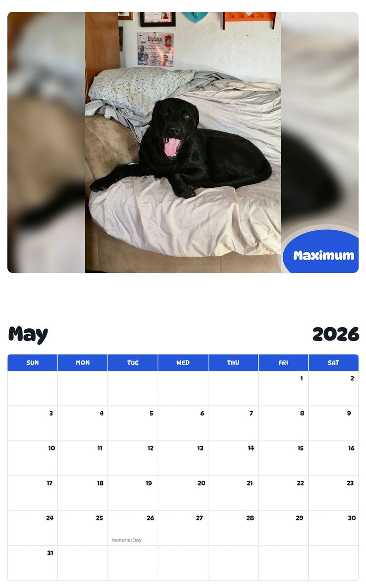 2026 - 2027 Maximum - Pawidols Pet Calendar
