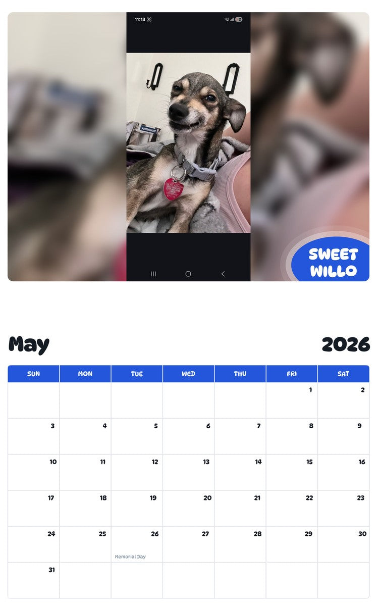 2026 - 2027 SWEET WILLO - Pawidols Pet Calendar