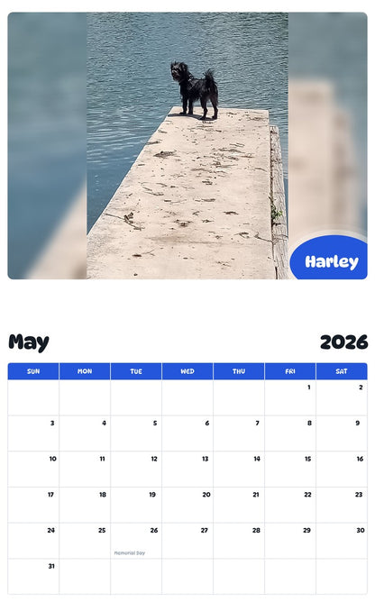 2026 - 2027 Harley - Pawidols Pet Calendar