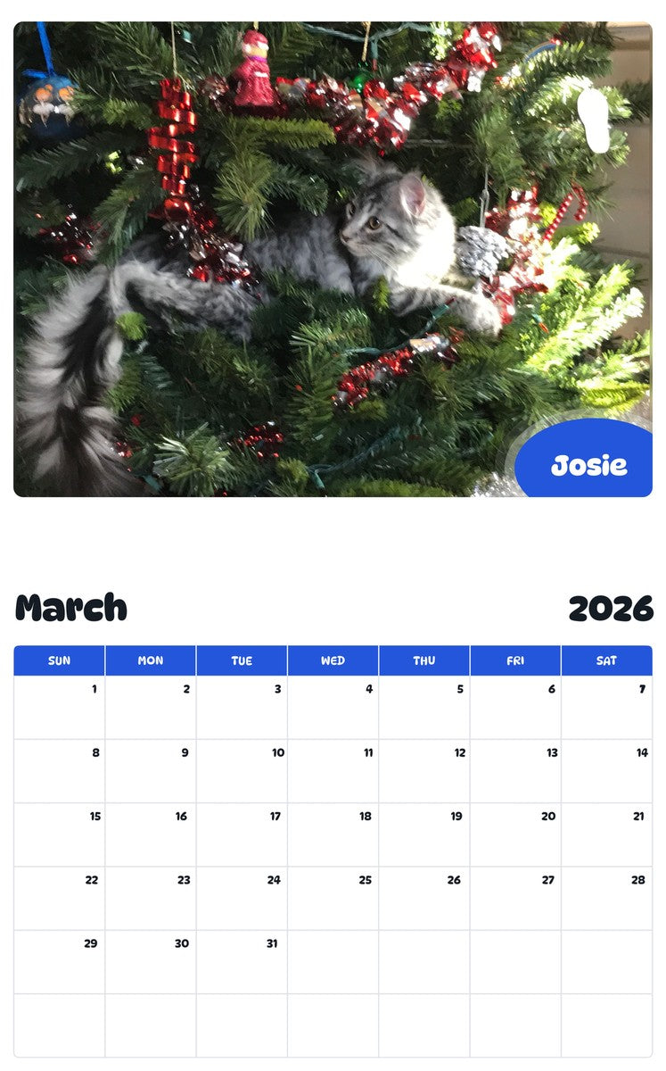 November 2025 - October 2026 Josie - Pawidols Pet Calendar