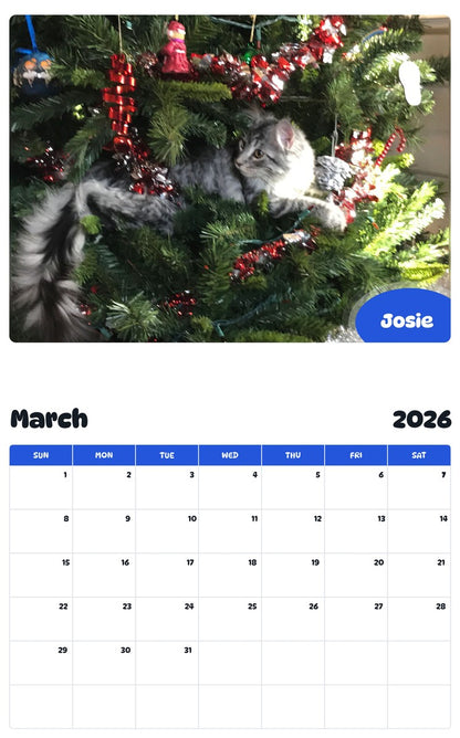 November 2025 - October 2026 Josie - Pawidols Pet Calendar
