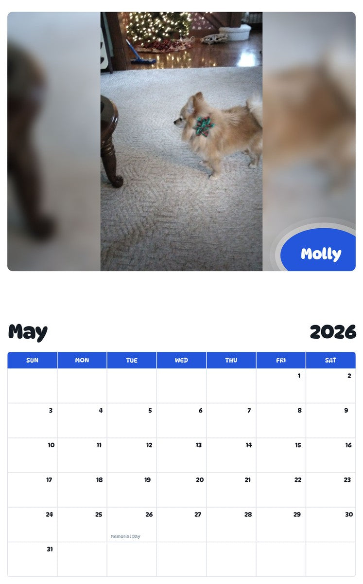 2026 - 2027 Molly - Pawidols Pet Calendar