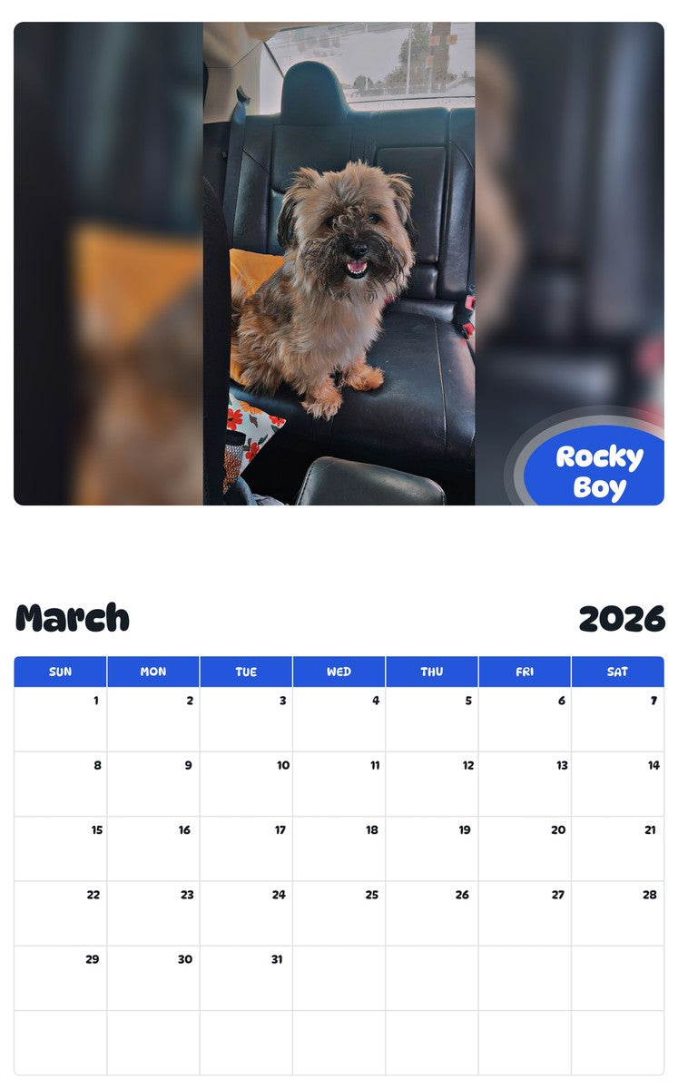 November 2025 - October 2026 Rocky Boy - Pawidols Pet Calendar