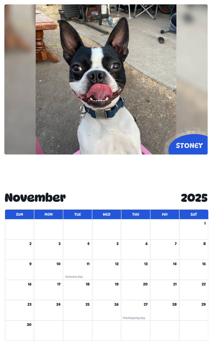 July 2025 - June 2026 Stoney - Pawidols Pet Calendar