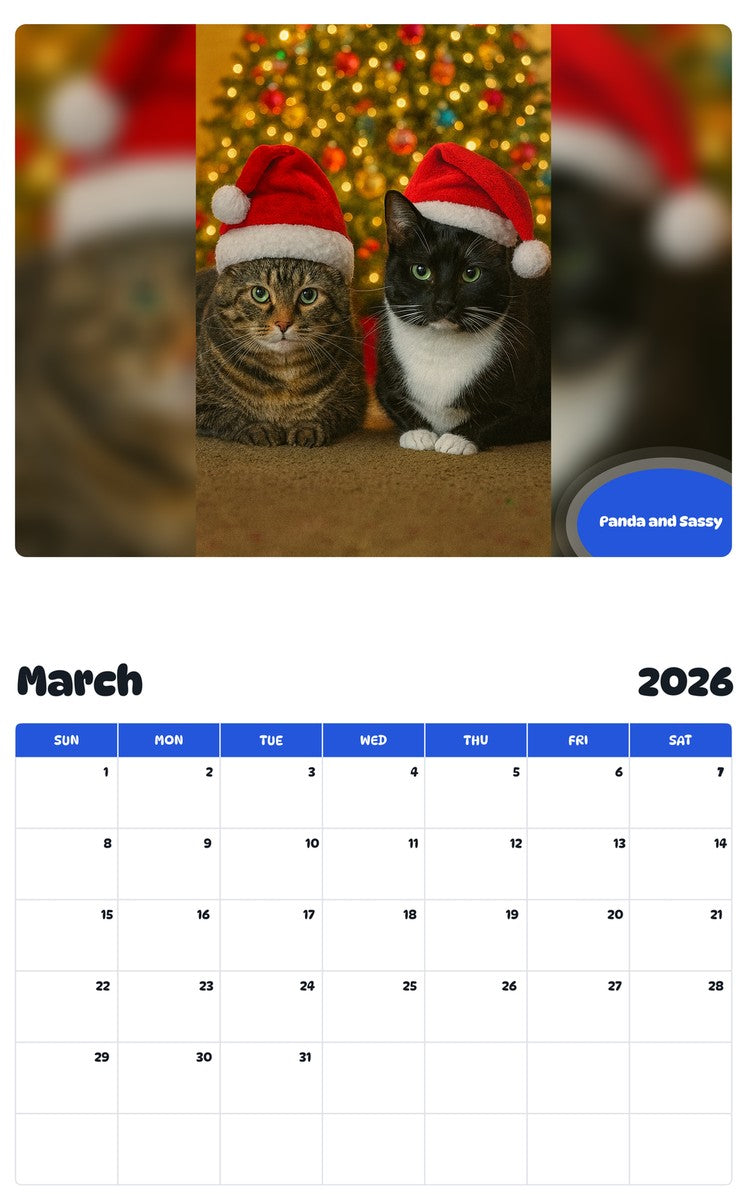 November 2025 - October 2026 Panda and Sassy - Pawidols Pet Calendar