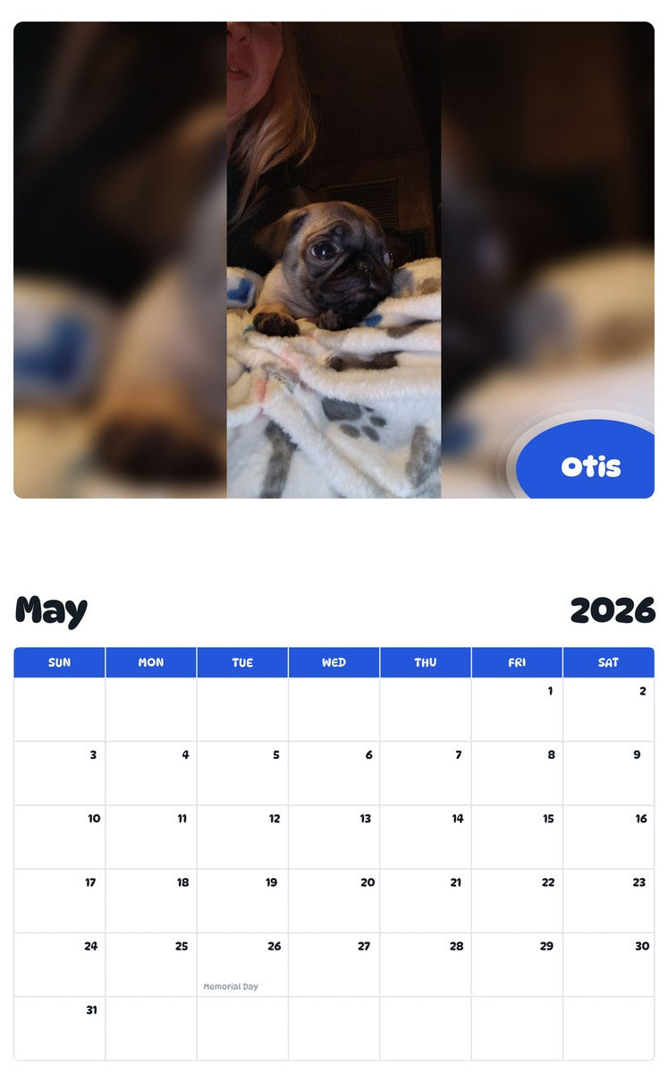 2026 - 2027 Otis - Pawidols Pet Calendar