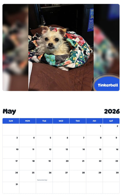 2026 - 2027 Tinkerbell - Pawidols Pet Calendar