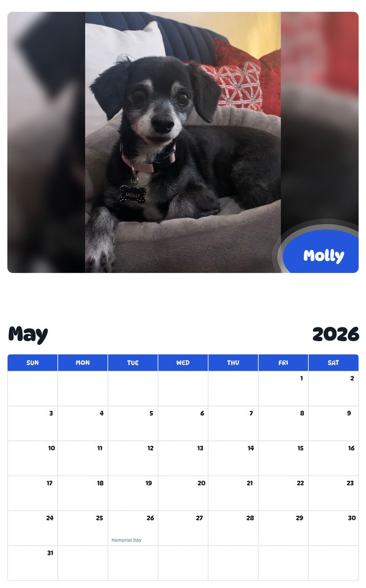 2026 - 2027 Molly - Pawidols Pet Calendar