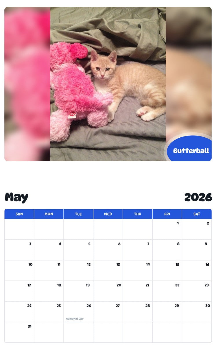 2026 - 2027 Butterball - Pawidols Pet Calendar