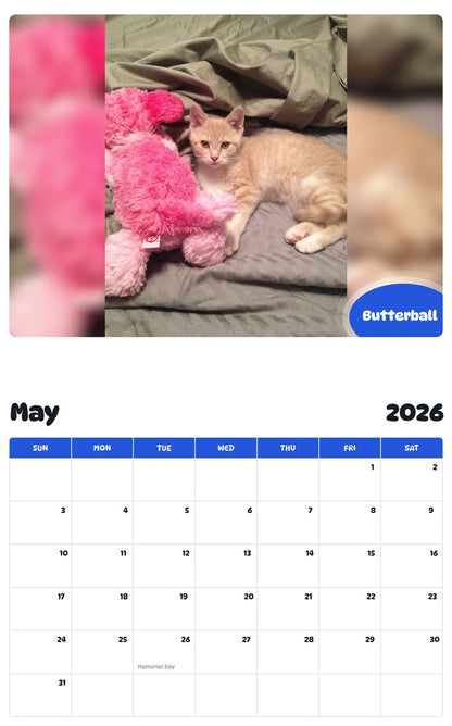 2026 - 2027 Butterball - Pawidols Pet Calendar