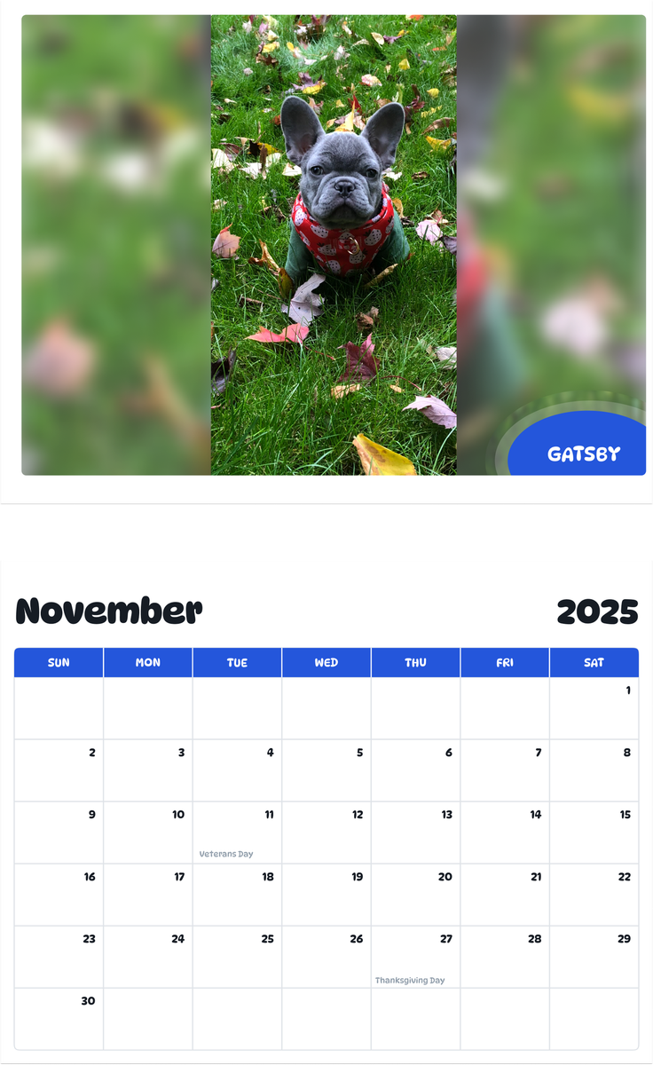 July 2025 - June 2026 Gatsby - Pawidols Pet Calendar