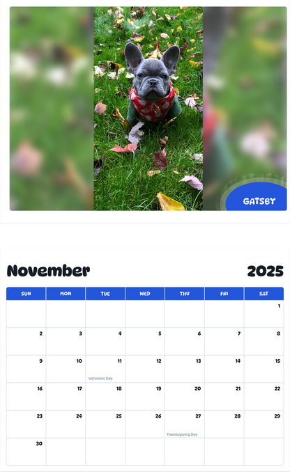 July 2025 - June 2026 Gatsby - Pawidols Pet Calendar