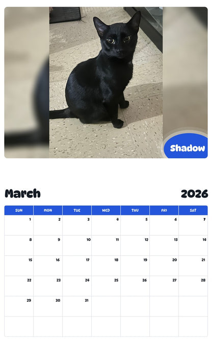 November 2025 - October 2026 Shadow - Pawidols Pet Calendar