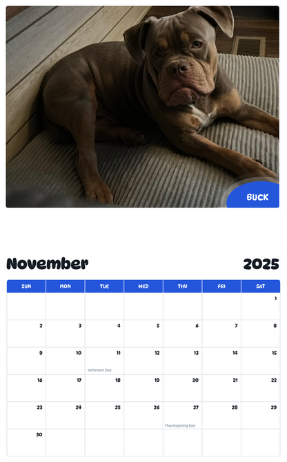 July 2025 - June 2026 Buck - Pawidols Pet Calendar