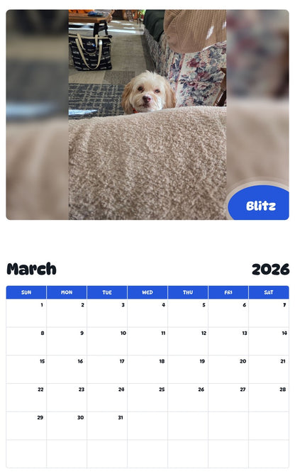 November 2025 - October 2026 Blitz - Pawidols Pet Calendar