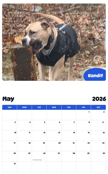 2026 - 2027 Bandit - Pawidols Pet Calendar