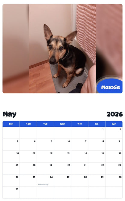 2026 - 2027 Moxxie - Pawidols Pet Calendar