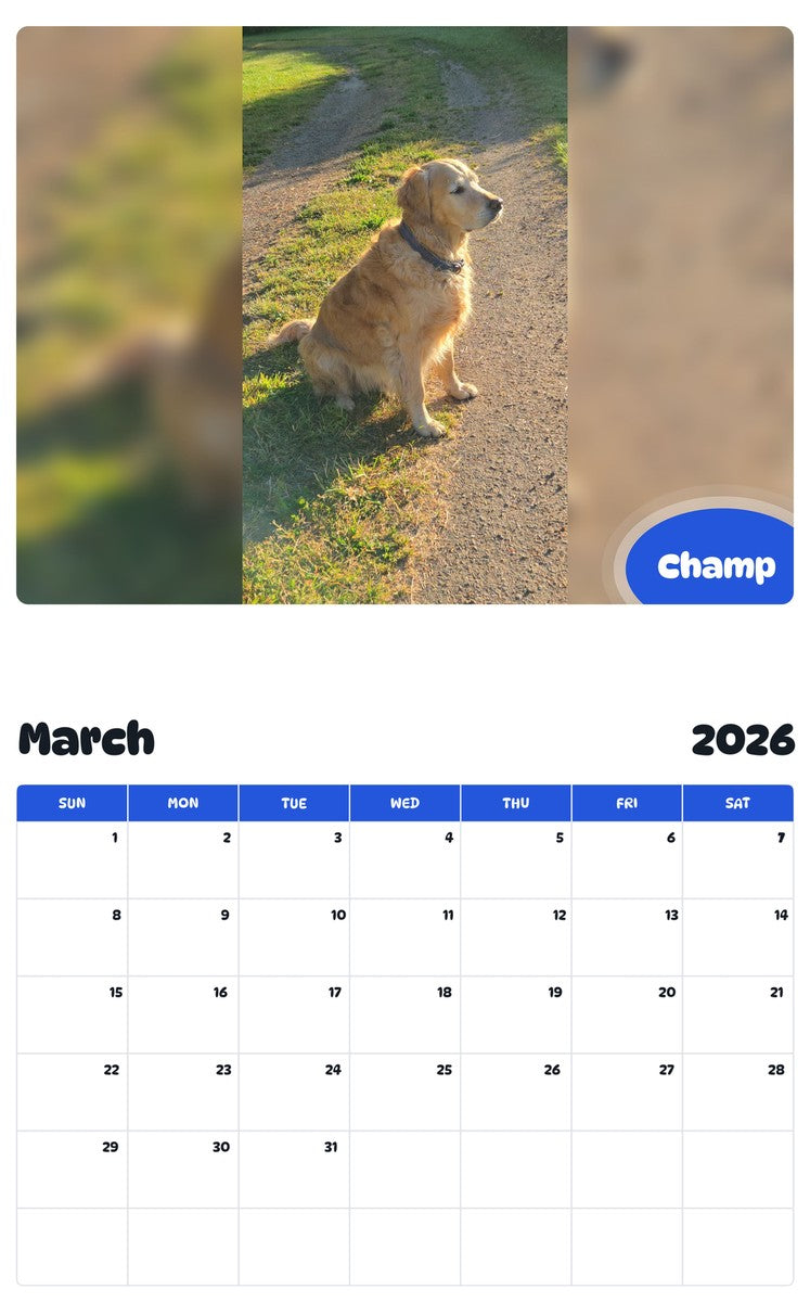 November 2025 - October 2026 Champ - Pawidols Pet Calendar